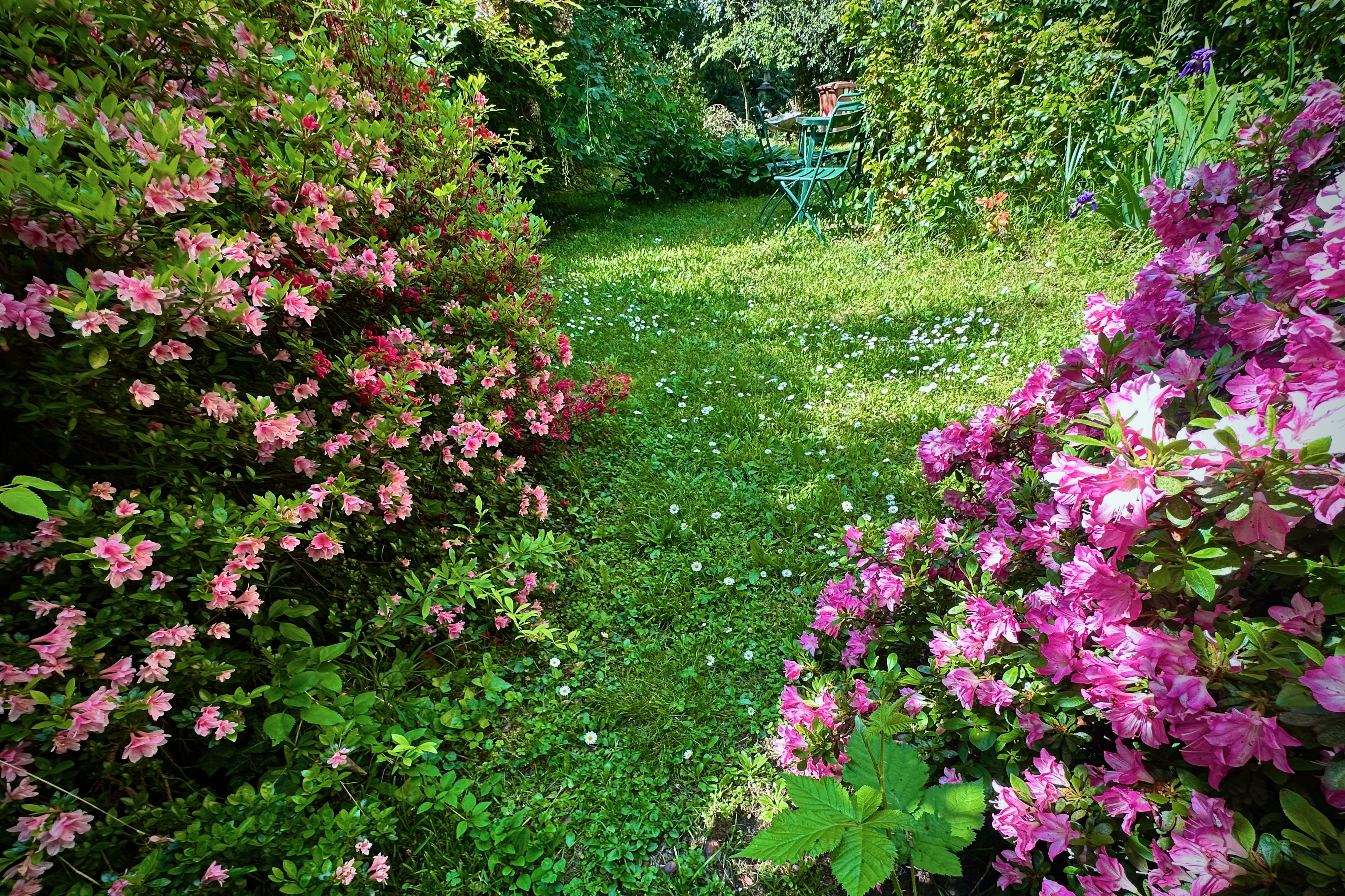 flower garden spring in merano italy