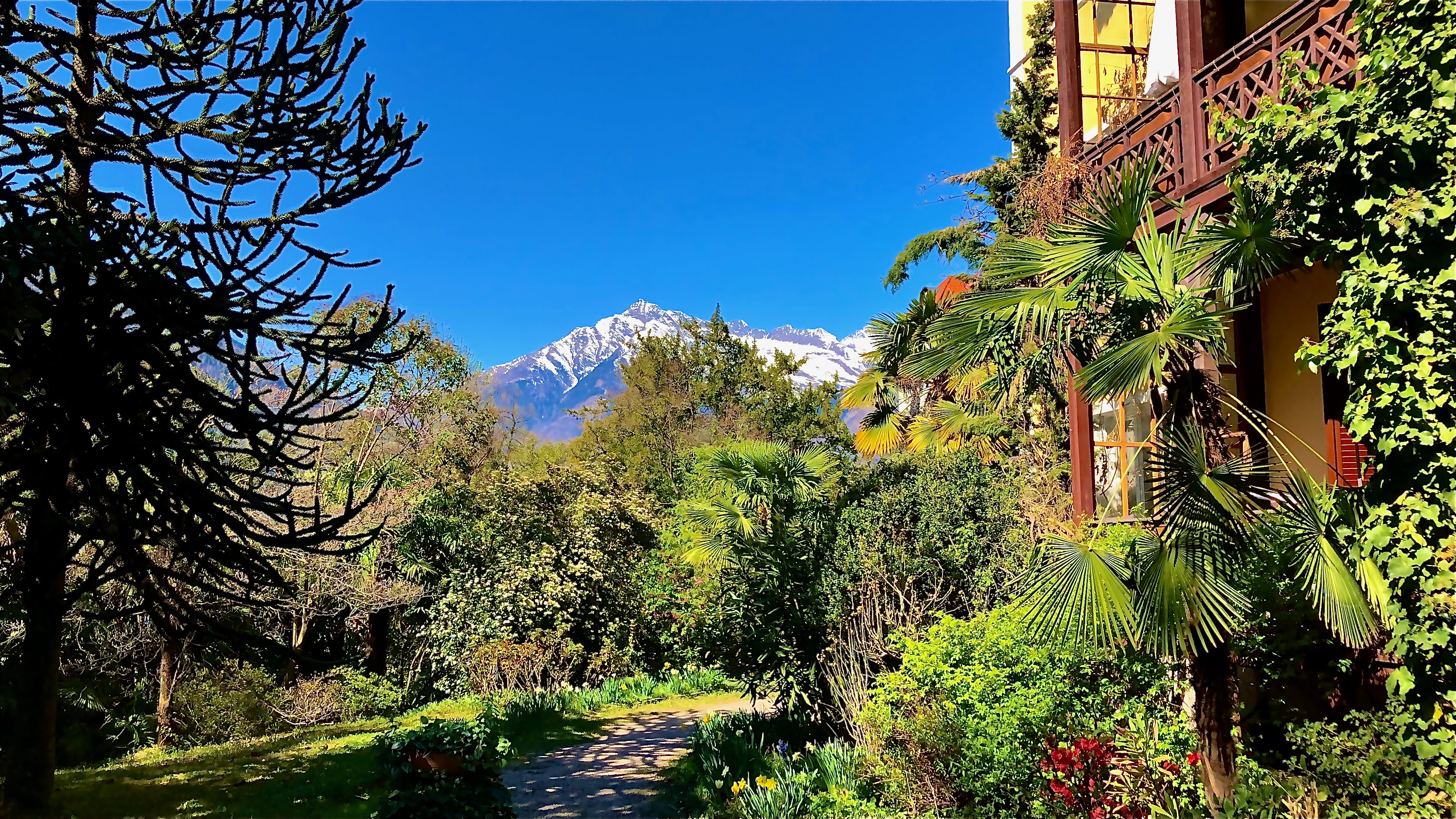 A scenic garden pathway lined with lush greenery, leading to a view of snow-capped mountains under a clear blue sky.