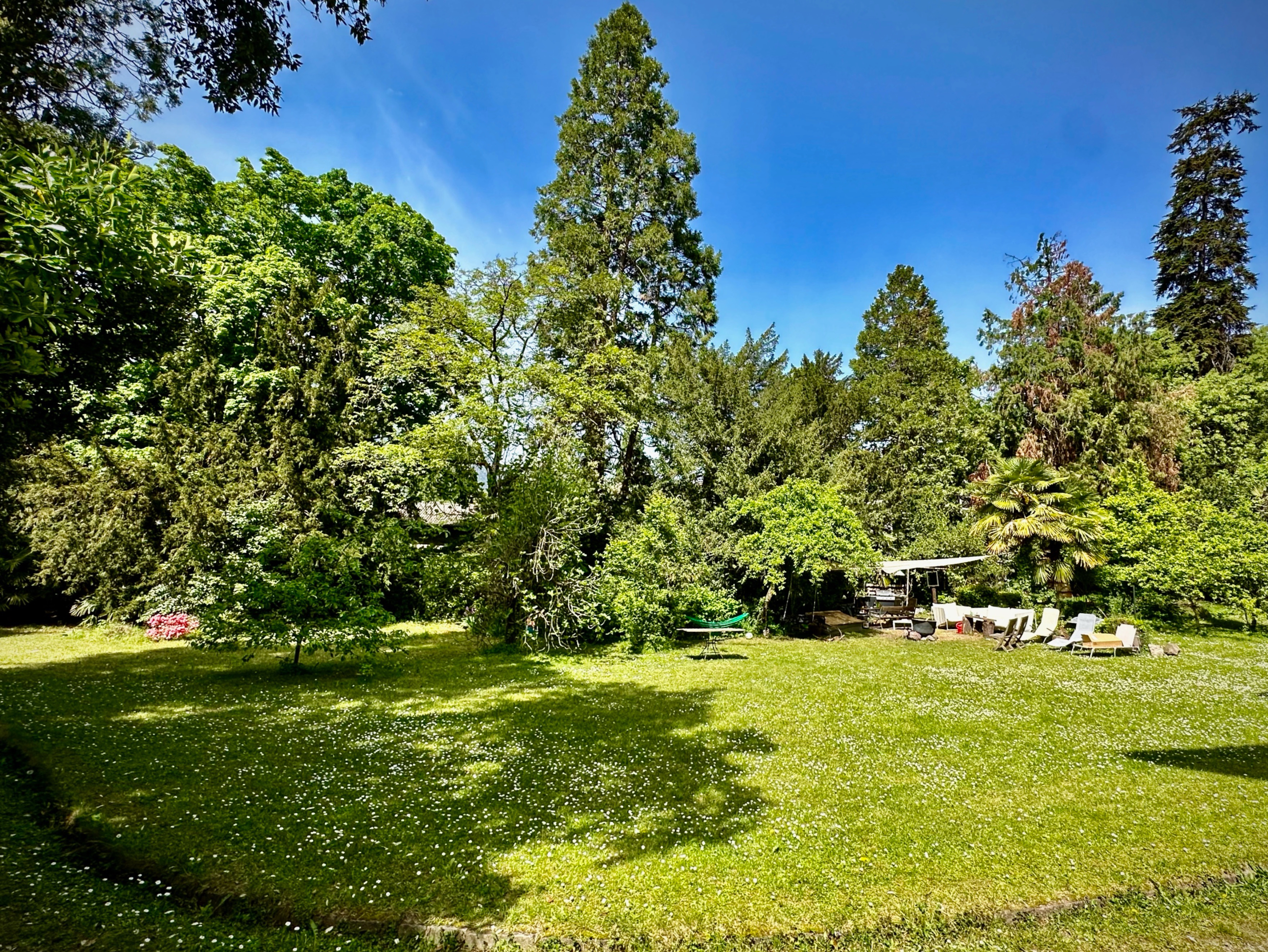 A lush green garden featuring a variety of trees and plants, with a manicured lawn dotted with small white flowers. In the background, there is a seating area with lounge chairs and a shaded area, under a clear blue sky.