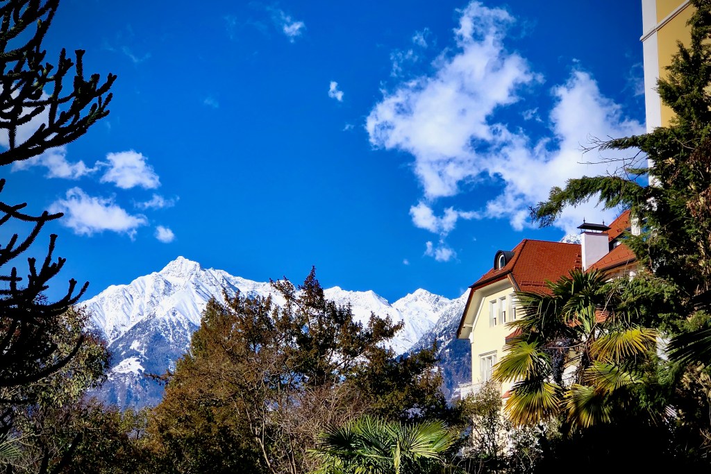 Schillerhof Meran Winter Alpen Schnee Palmen Araukarie Obermais Bergblick
